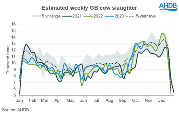 Estimated weekly GB cow slaughter